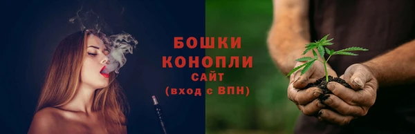 спайс Пересвет